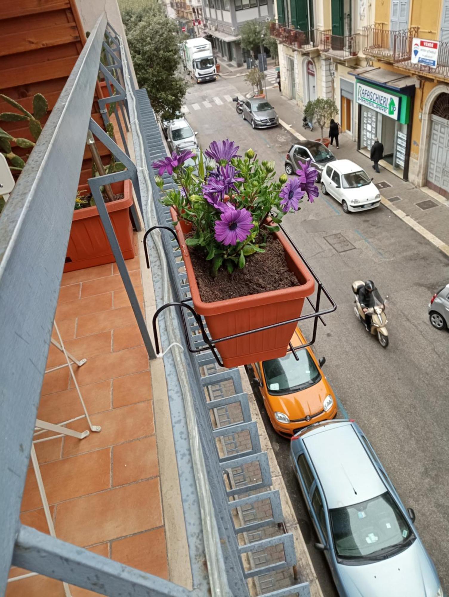 Kaktus B&B Bari Exteriör bild