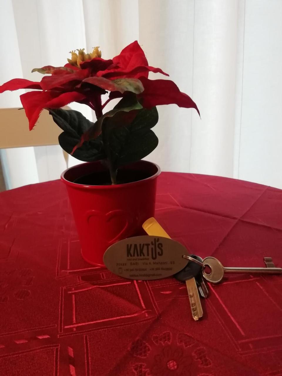 Kaktus B&B Bari Exteriör bild